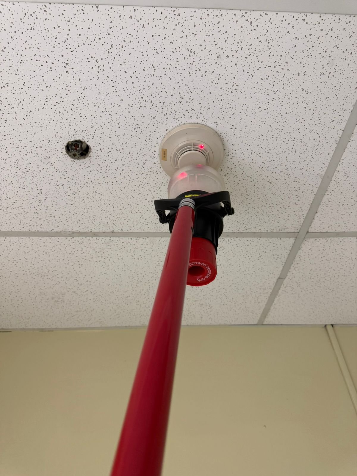 WhatsApp Image 2026-01-07 at 7.21.24 PM (6)